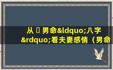 从 ☘ 男命“八字”看夫妻感情（男命八字看妻子是否有外遇）